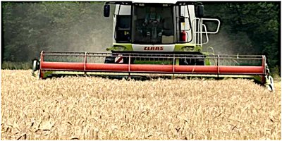 Sommerliches Wetter erleichtert eine zügige und trockene Ernte Sommerliches Wetter erleichtert eine zügige und trockene Ernte