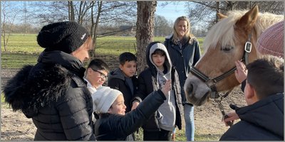 Pferd Aaron hilft beim Deutschlernen Pferd Aaron hilft beim Deutschlernen