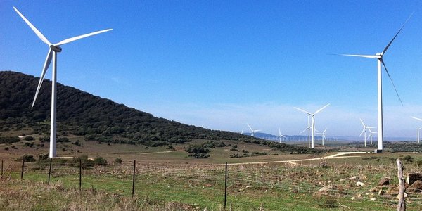 Appell: Wildwuchs bedroht Windenergie