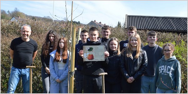 Ein Apfelbaum als Abschiedsgeschenk