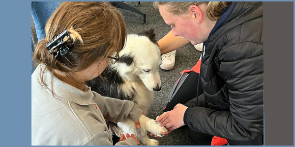 Johanniter-Jugend zeigt vollen Einsatz