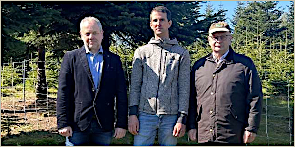 WLV dringt auf Abschuss von Problemwölfen